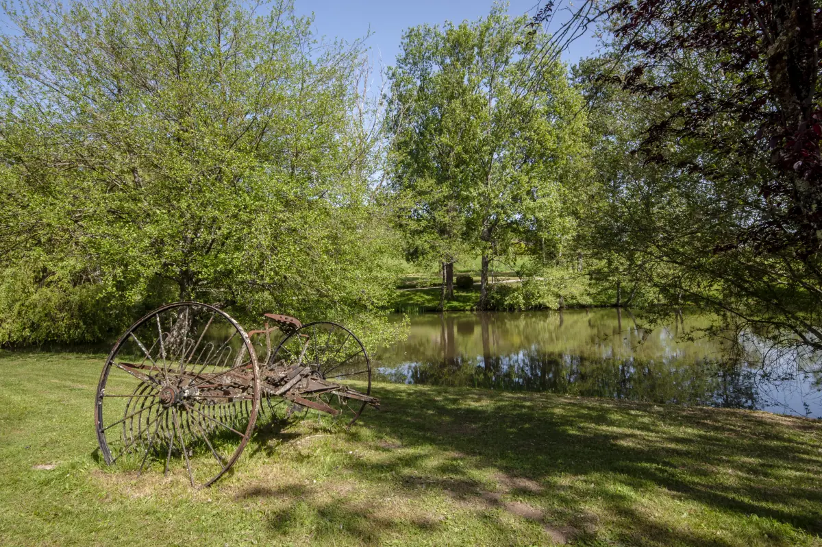Charrette ancienne et saule pleureur au bord de l'étang