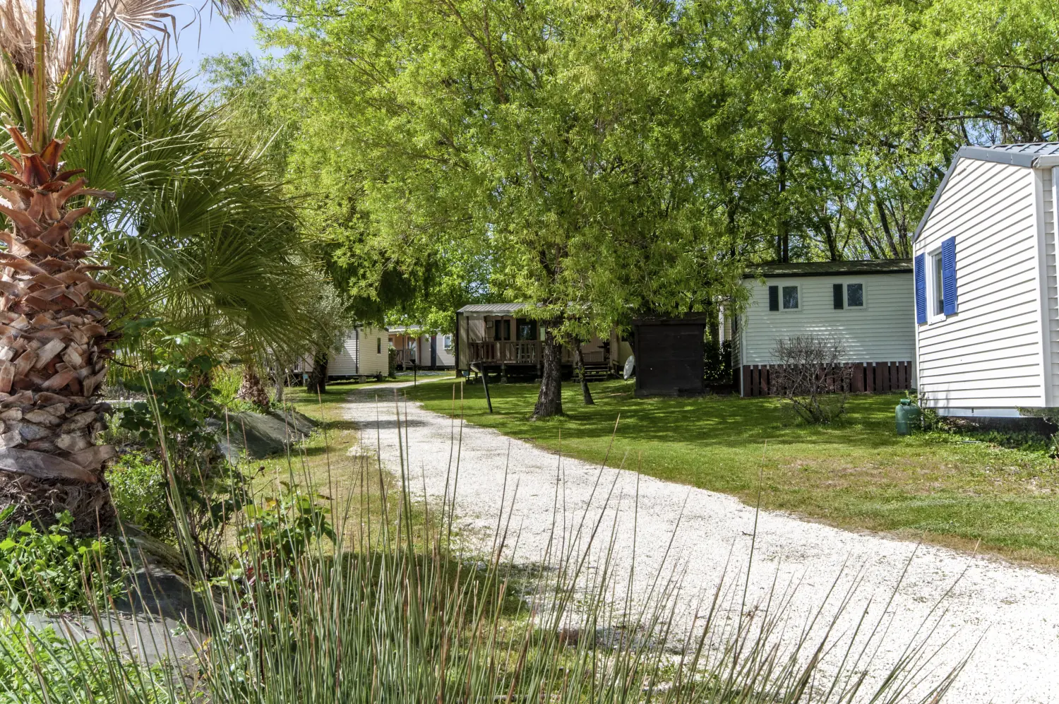 Vue d'ensemble sur l'environnement naturel du camping Les Étangs de Plessac