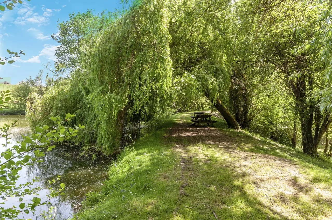 Vue de l'étang du camping Les Étangs de Plessac, Dordogne